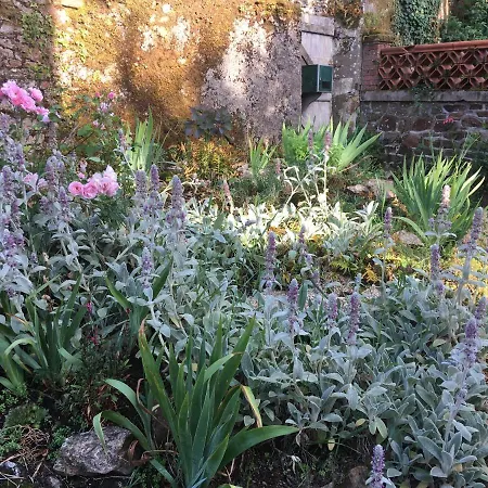 La Houache D'hotes Le Pellerin