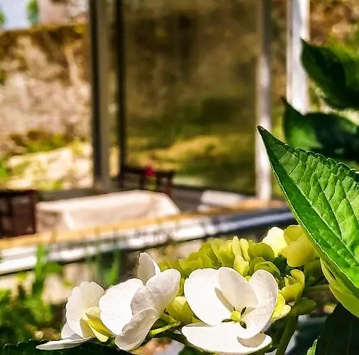 La Houache D'hotes 3* Le Pellerin