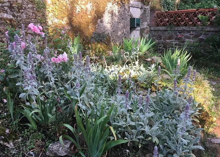 La Houache D'hotes Le Pellerin